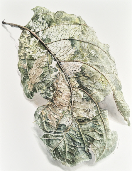 조미행 수채화 展 